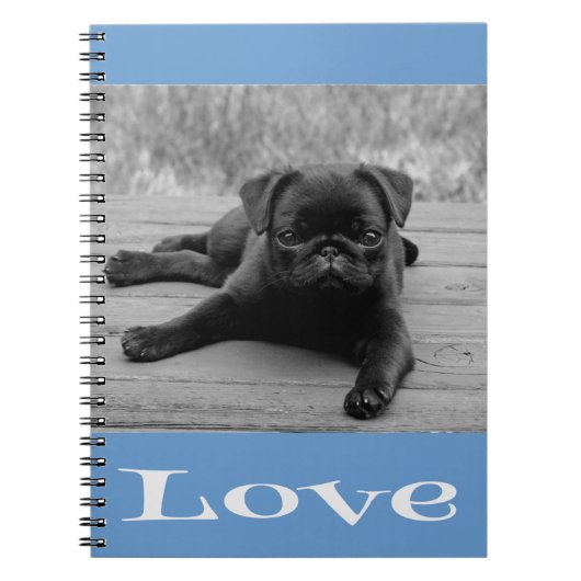 Schwarz-Weiß-Mops-Welpe-Dog Blue-Liebe-Notebook Notizblock (Vorderseite)