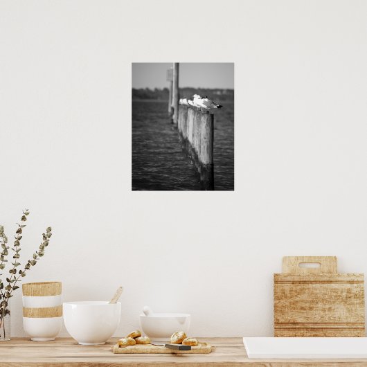 Schwarz-Weiß-Möwen auf Posts 16x20 Poster (Küche)