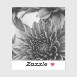 Schwarz-Weiß-Mums Aufkleber