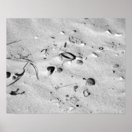 Schwarz-Weiß-Muscheln im Sand 16x20 Poster