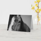 Schwarz-Weiß-Nah-up Horse-Augen-Artwork Karte (Gelbe Blume)