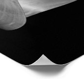 Schwarz-Weiß-Nautilus-Muschel Poster (Ecke)