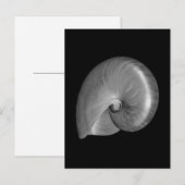 Schwarz-Weiß-Nautilus-Muschel Postkarte (Vorne/Hinten)