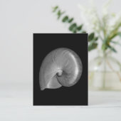 Schwarz-Weiß-Nautilus-Muschel Postkarte (Stehend Vorderseite)