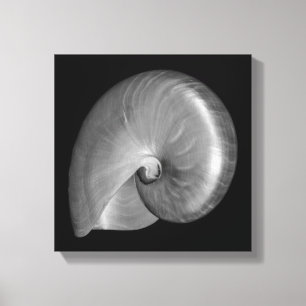 Schwarz-Weiß-Nautilus-Schale Leinwanddruck