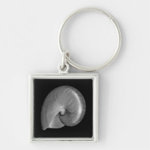 Schwarz-Weiß-Nautilus-Schale Schlüsselanhänger