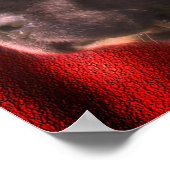 Schwarz-Weiß-Neufundland-Hundegesicht Poster (Ecke)