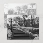 Schwarz-weiß NY Central Park Postkarte (Vorne/Hinten)