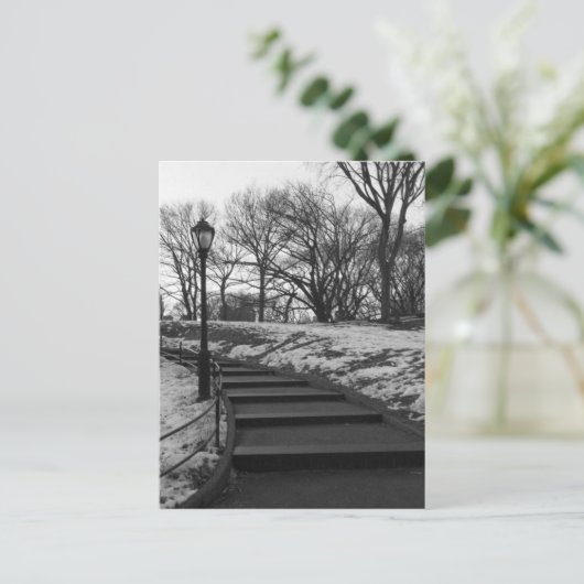 Schwarz-weiß NY Central Park Postkarte (Stehend Vorderseite)