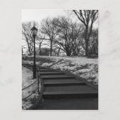 Schwarz-weiß NY Central Park Postkarte (Vorderseite)