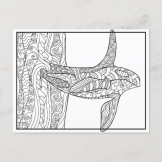 Schwarz-Weiß-Orca-Färbung Postkarte