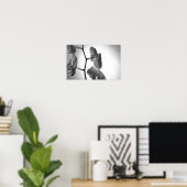 Schwarz-Weiß-Orchideen-Blume am Stem Poster (Heimbüro)