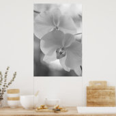 Schwarz-Weiß-Orchideen Poster (Küche)