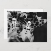 Schwarz-Weiß-Orchideen Postkarte (Vorne/Hinten)