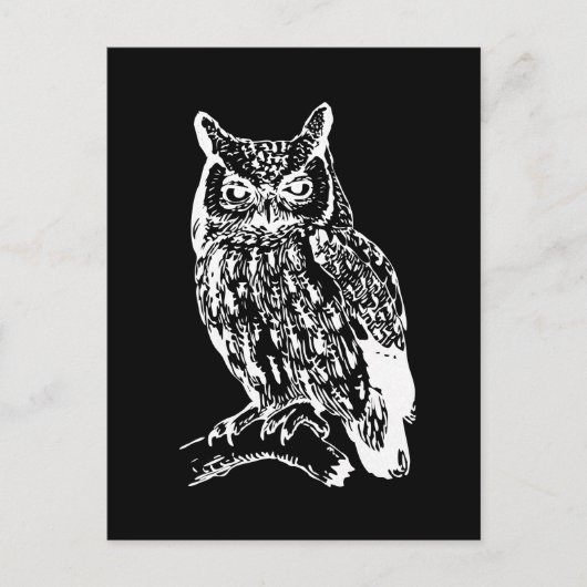 Schwarz-Weiß-Owl-Design Postkarte (Vorderseite)