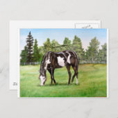 Schwarz-Weiß-Paint-Pferd/Pony-Weide im Feld Postkarte (Vorne/Hinten)