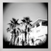 Schwarz-Weiß-Palme Poster (Vorne)