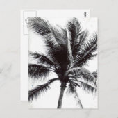 Schwarz-Weiß-Palme Postkarte (Vorne/Hinten)