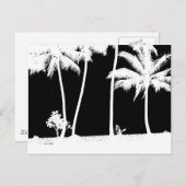 Schwarz-Weiß-Palmen Postkarte (Vorne/Hinten)