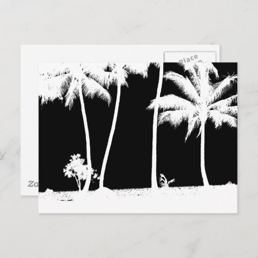 Schwarz-Weiß-Palmen Postkarte (Vorne/Hinten)