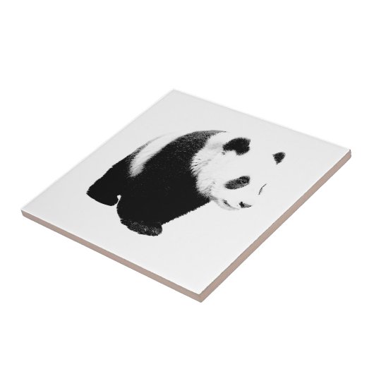 Schwarz/Weiß Panda Fliese (Seite)