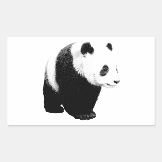 Schwarz/Weiß Panda Rechteckiger Aufkleber (Vorderseite)