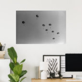 Schwarz-Weiß-Paratrooper-Show 1968 Poster (Heimbüro)