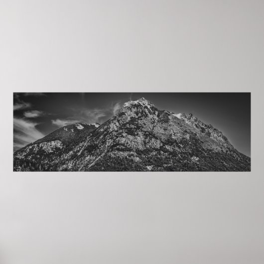 Schwarz-Weiß-Park nahuel huapi Landschaft Poster (Vorne)