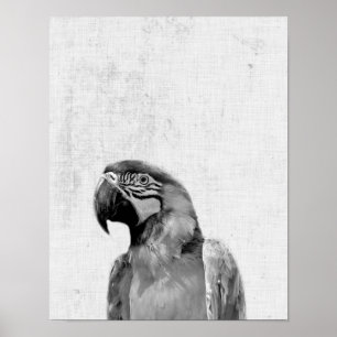 Schwarz-Weiß-Peekaboo Parrot Minimalistisches Kind Poster