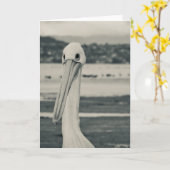 Schwarz-Weiß-Pelican-Foto Karte (Gelbe Blume)