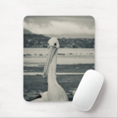 Schwarz-Weiß-Pelican-Foto Mousepad (Mit Mouse)