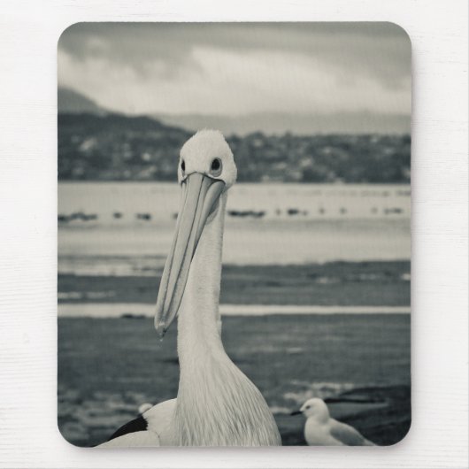 Schwarz-Weiß-Pelican-Foto Mousepad (Vorne)