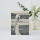 Schwarz-Weiß-Pelican-Foto Postkarte (Stehend Vorderseite)
