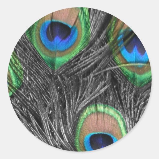 Schwarz-Weiß-Pfauenfeder Runder Aufkleber (Vorderseite)