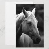 Schwarz Weiß Pferd Briefpapier (Vorne/Hinten)