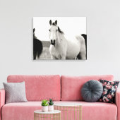 Schwarz-Weiß-Pferd in den Flint Hills Leinwanddruck (Insitu (Wohnzimmer))