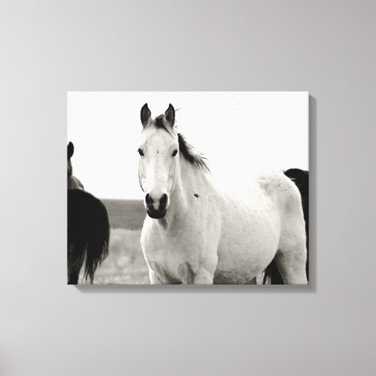 Schwarz-Weiß-Pferd in den Flint Hills Leinwanddruck (Vorderseite)
