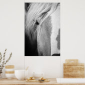Schwarz-Weiß-Pferd-Portrait Poster (Küche)