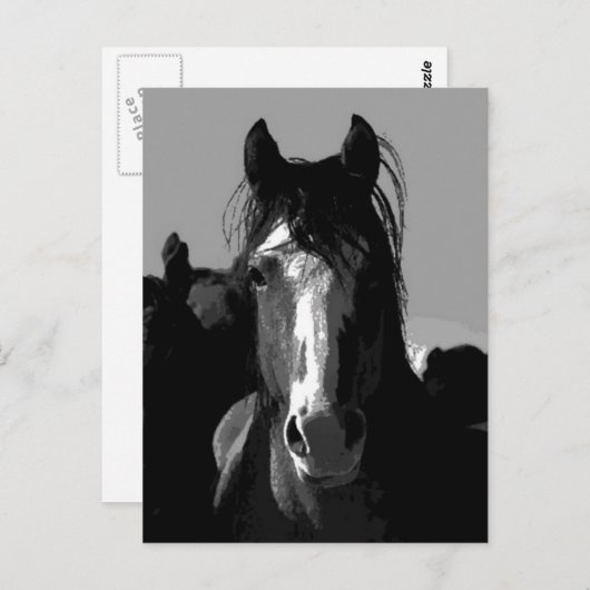 Schwarz-Weiß-Pferd-Portrait Postkarte (Vorne/Hinten)