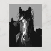 Schwarz-Weiß-Pferd-Portrait Postkarte (Vorderseite)