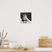 Schwarz-Weiß-Pferd Poster (Küche)