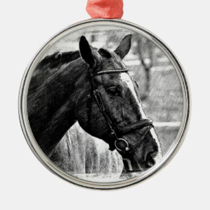 Schwarz-Weiß-Pferd-Skizze Silbernes Ornament