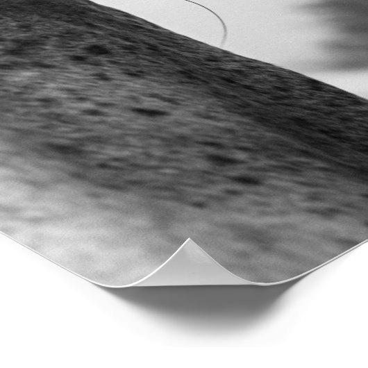 Schwarz-Weiß-Pferdeauge Poster (Ecke)