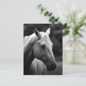 Schwarz-Weiß-Pferdekopf Postkarte (Stehend Vorderseite)