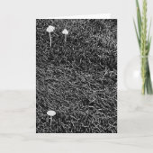 Schwarz-Weiß-Pilze im Gras-Foto Karte (Vorderseite)