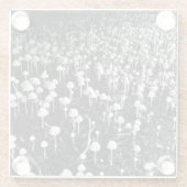 Schwarz-Weiß-Pilzkolonie-Foto Glasuntersetzer (Rückseite)