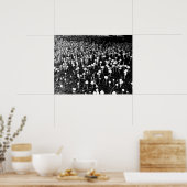 Schwarz-Weiß-Pilzkolonie-Foto Poster (Küche)