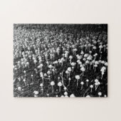Schwarz-Weiß-Pilzkolonie-Foto Puzzle (Horizontal)