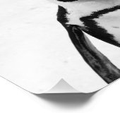 Schwarz-Weiß-Pinguin Fotodruck (Ecke)