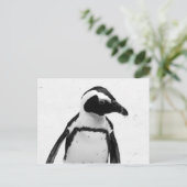 Schwarz-Weiß-Pinguin Postkarte (Stehend Vorderseite)